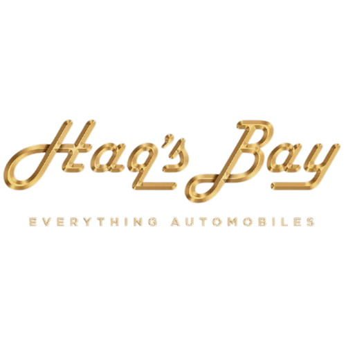 bay-removebg-preview